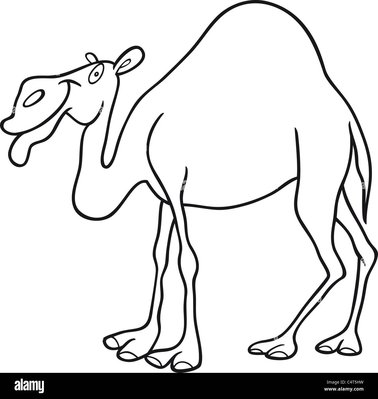 cartoon illustration of dromedary camel for coloring book Stock Photo