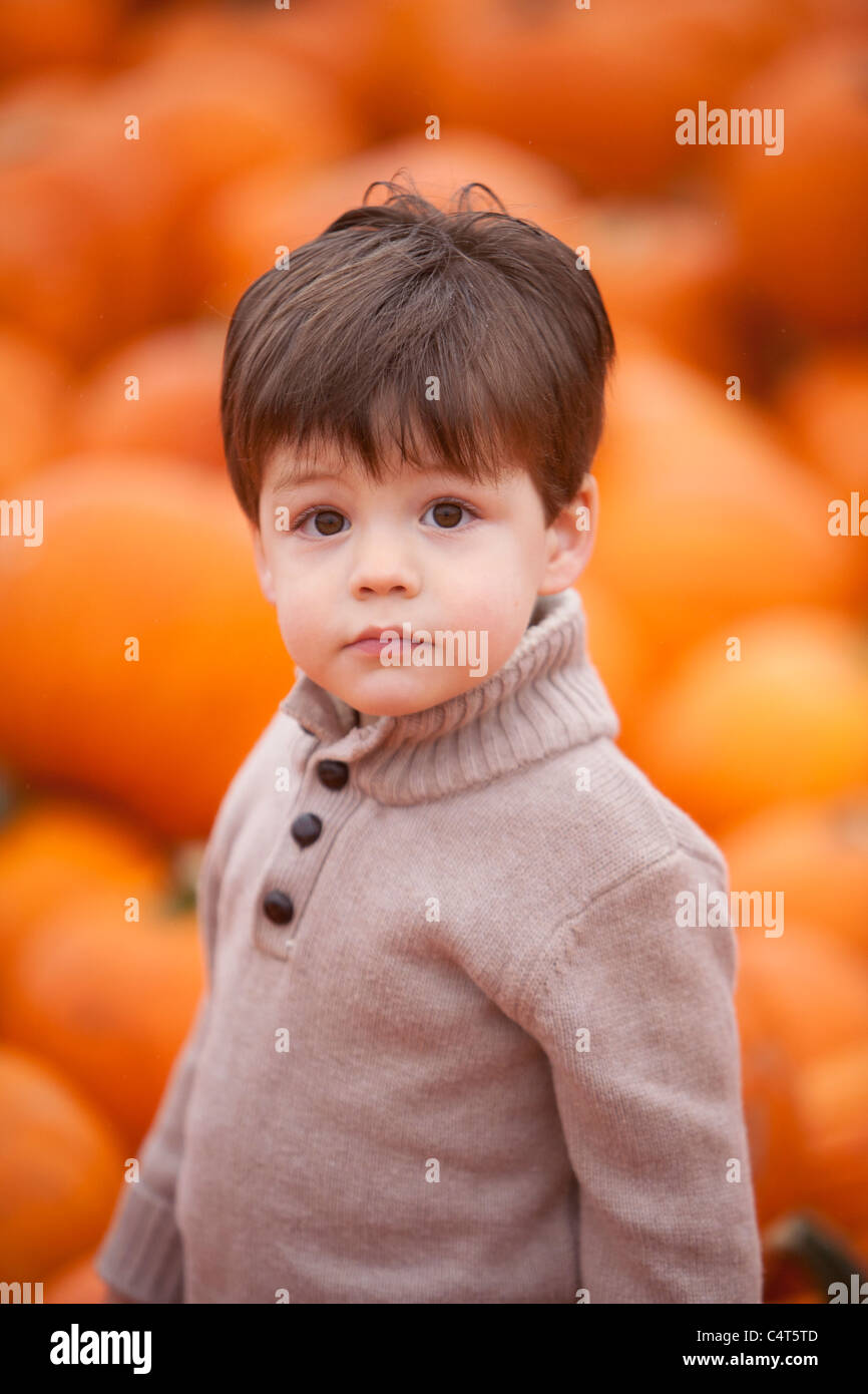 2 year old boy at pumpkin patch (MR) Stock Photo