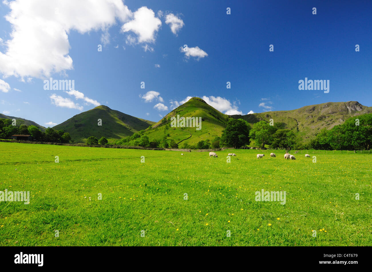 Summer view of fells fields and countryside in the English Lake