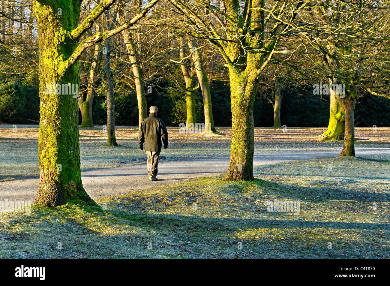 Man walking in Jericho Beach Park, Vancouver, British Columbia, Canada Stock Photo