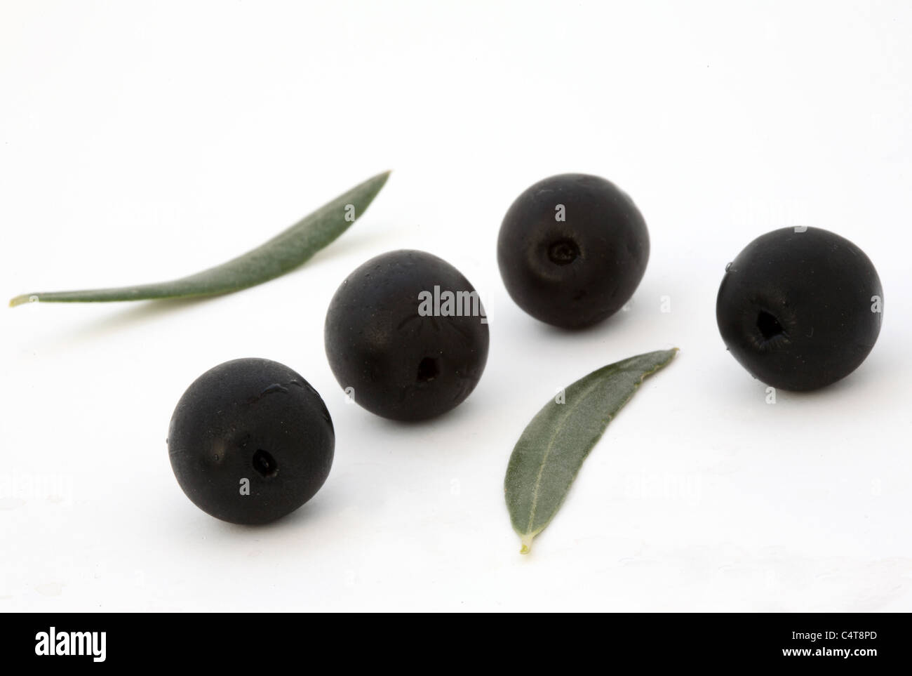 Olive leaf nutrition health black food four 4 hires stock photography