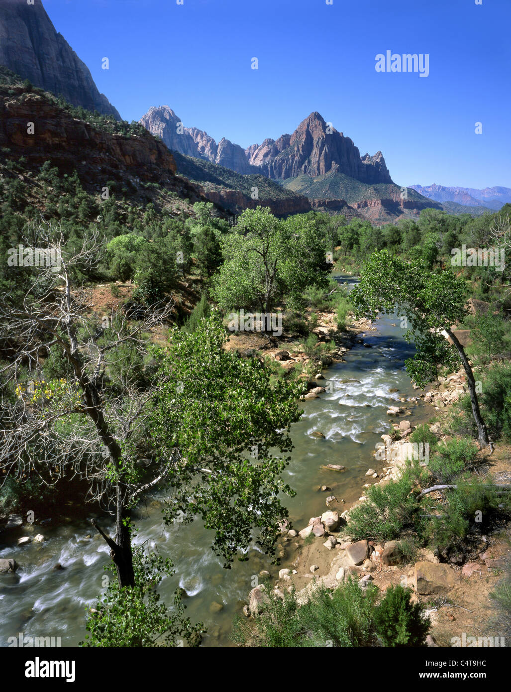 The Virgin River As It Flows Through Zion Valley, Zion National Park