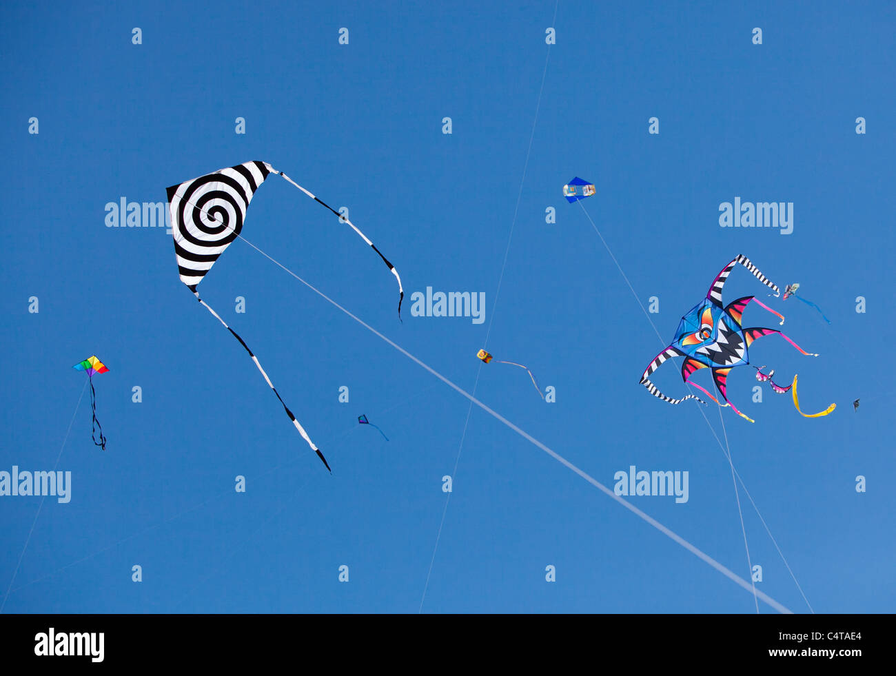 Unique kites at the Austin Kite Festival Stock Photo Alamy
