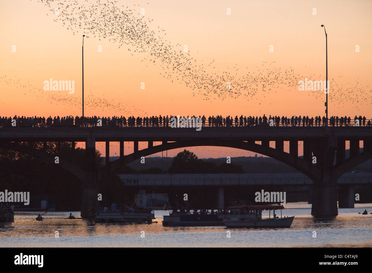 Austin, Texas Congress Bridge Bats Stock Photo