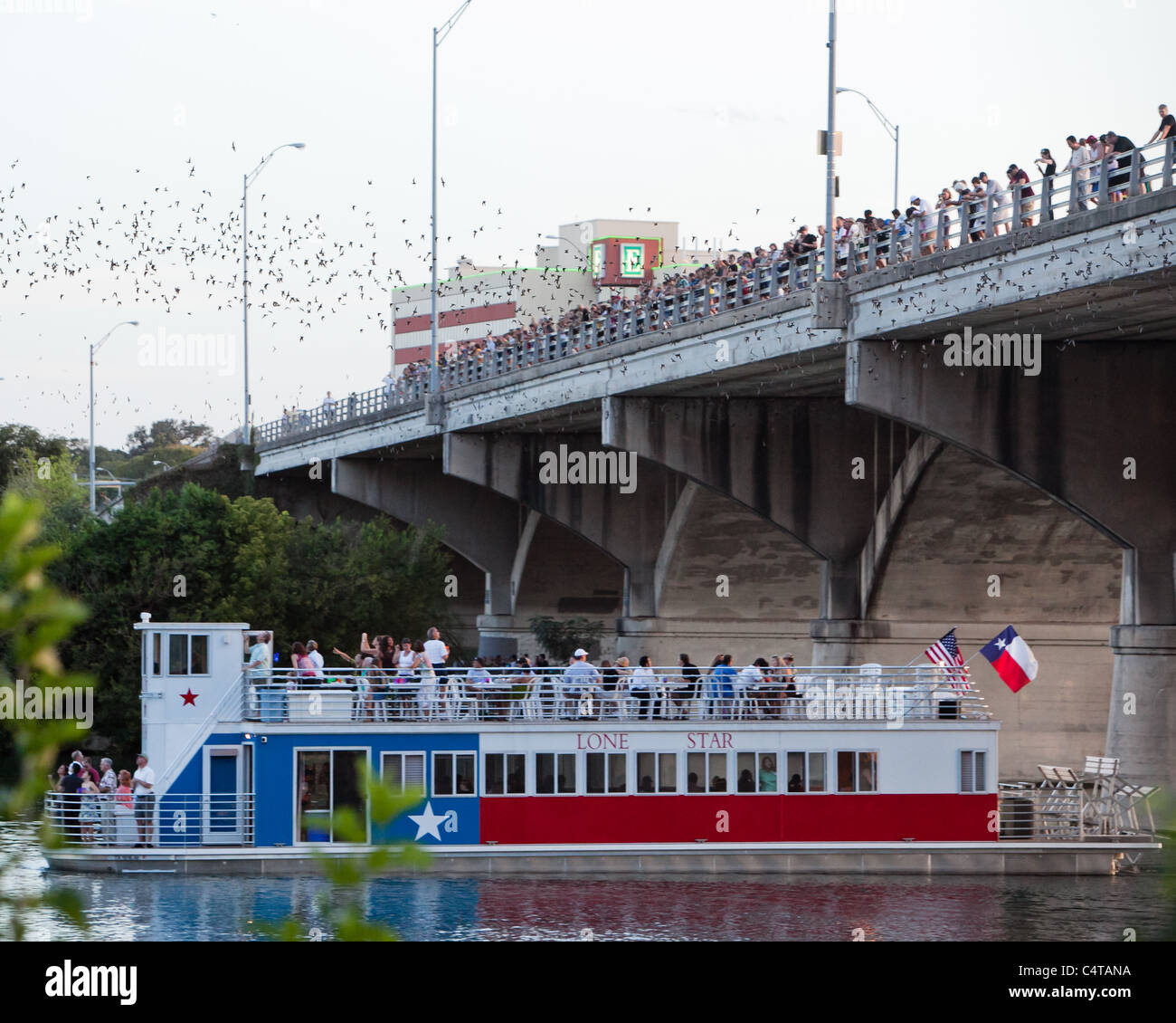 Bats Emerge from the Congress Bridge in Austin, Texas as the Lonestar Riverboat passes underneath Stock Photo