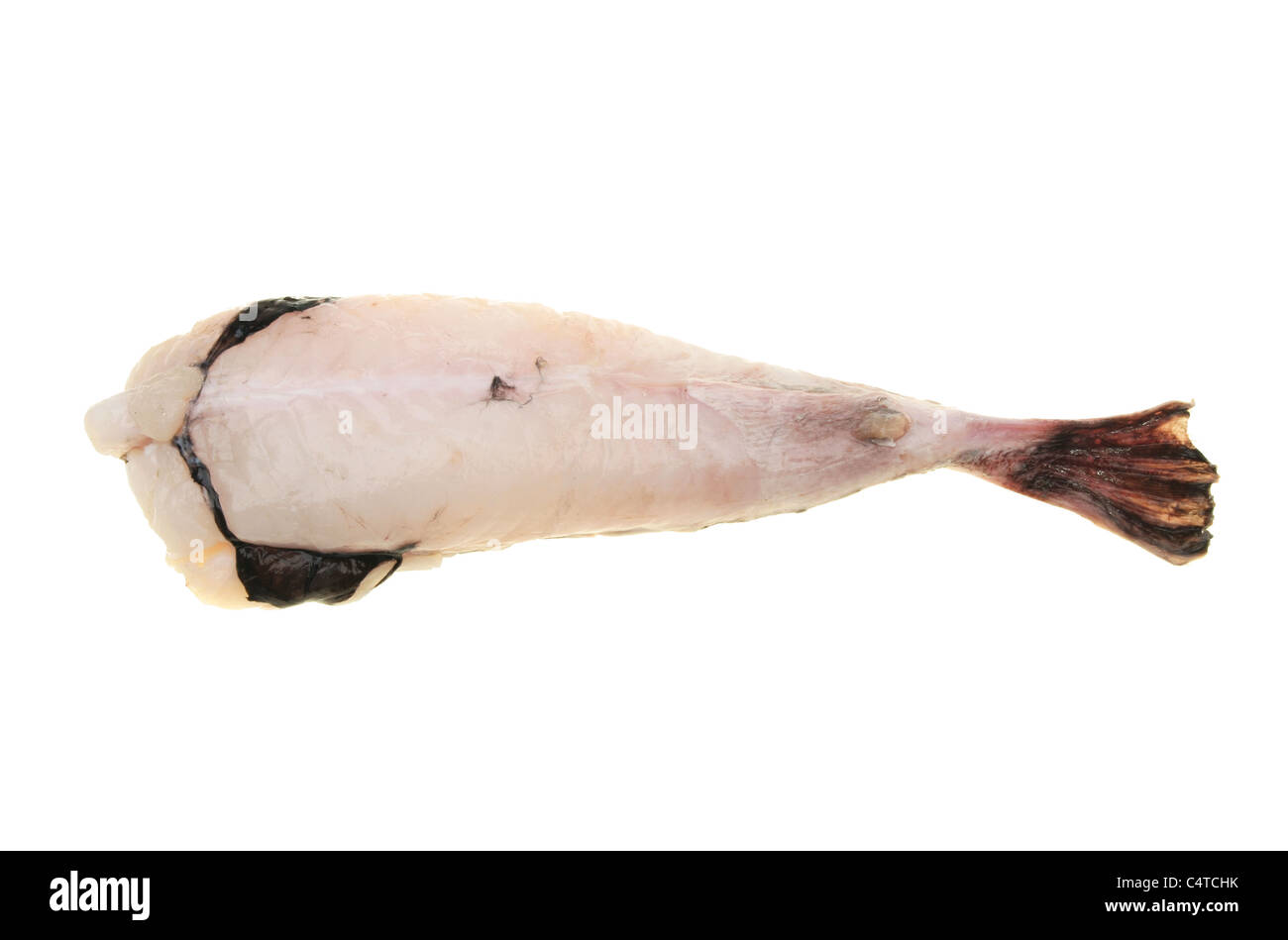 Monkfish tail isolated on a white background Stock Photo
