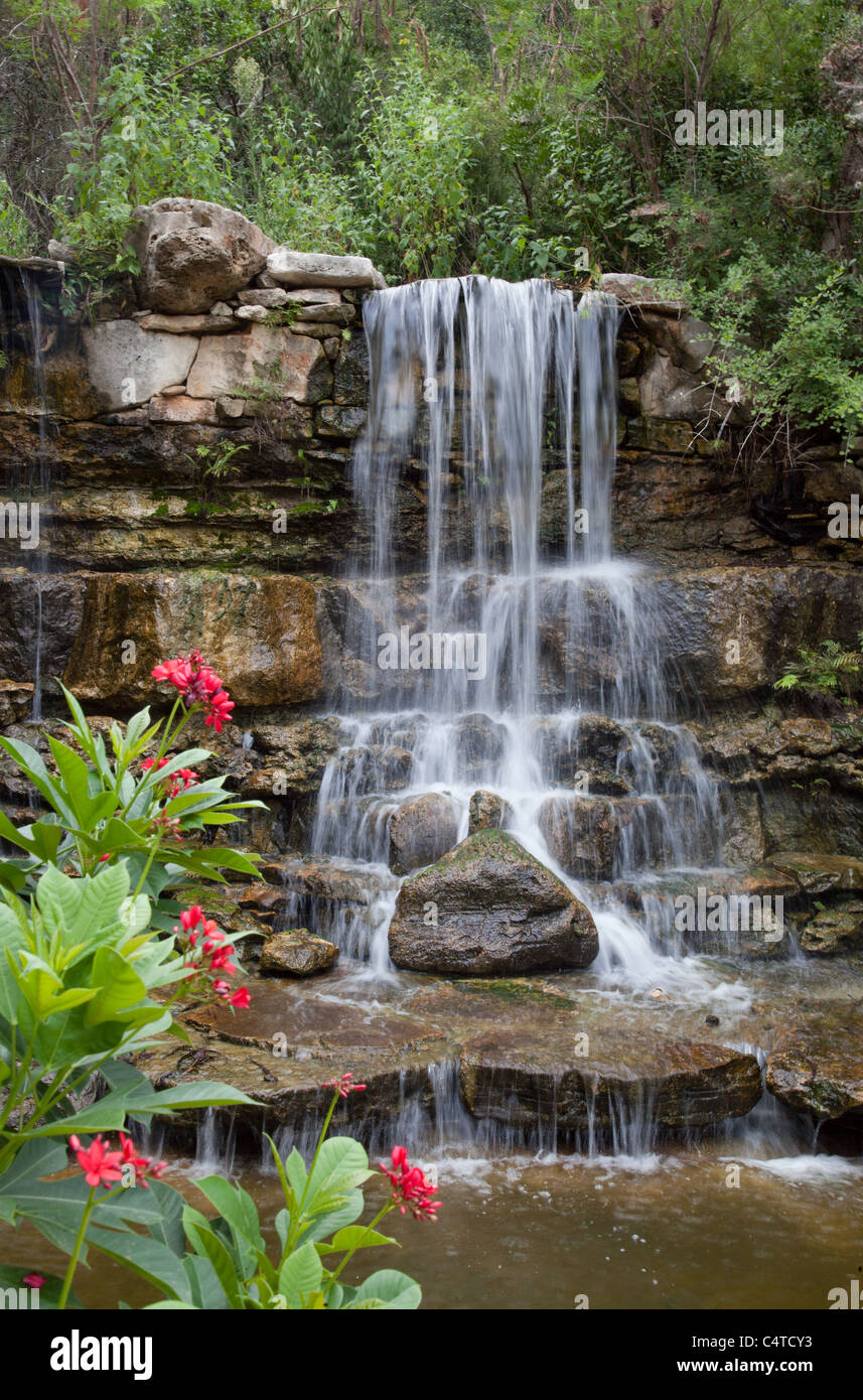 Waterfall in the Hartman Prehistoric Garden at Zilker Park in Austin, Texas Stock Photo