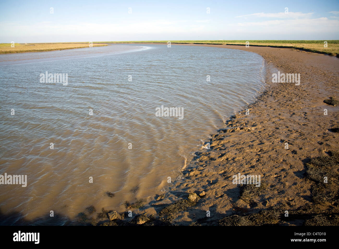 Butley River creek with muddy river bed, Boyton, Suffolk, England Stock Photo