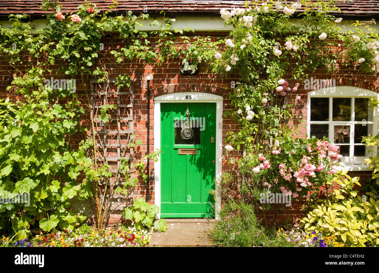English village cottage with roses in flower around the door, Orford , Suffolk UK Stock Photo