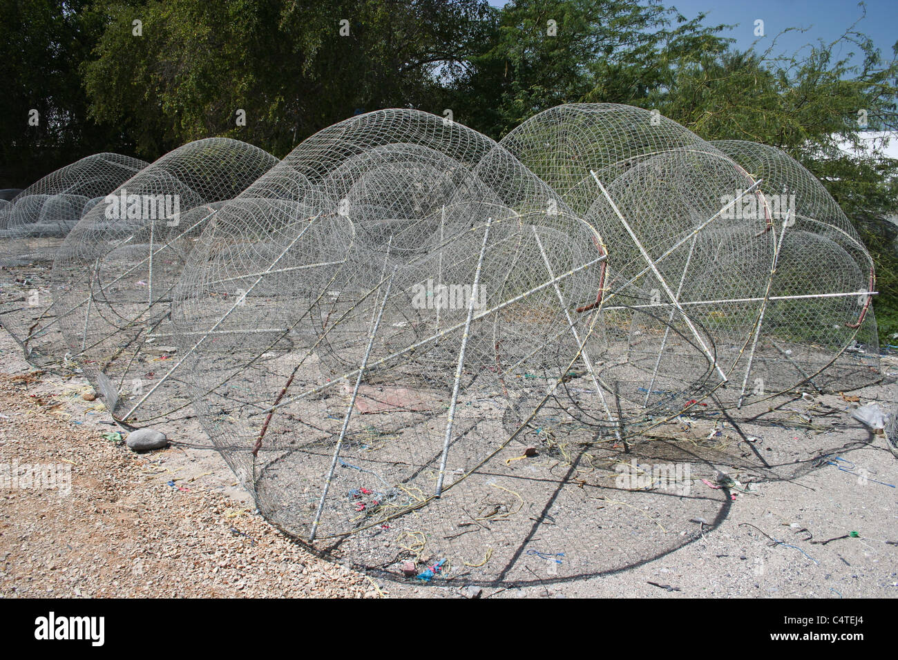 fishing nets net cage middle east uae Stock Photo Alamy