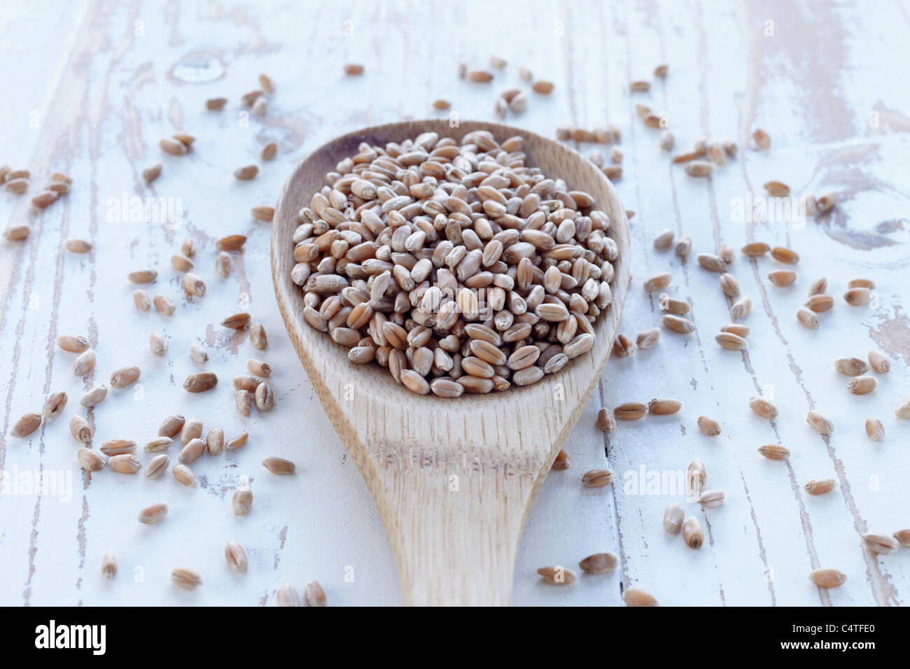 Spoonful of Cereal Grain Stock Photo Alamy