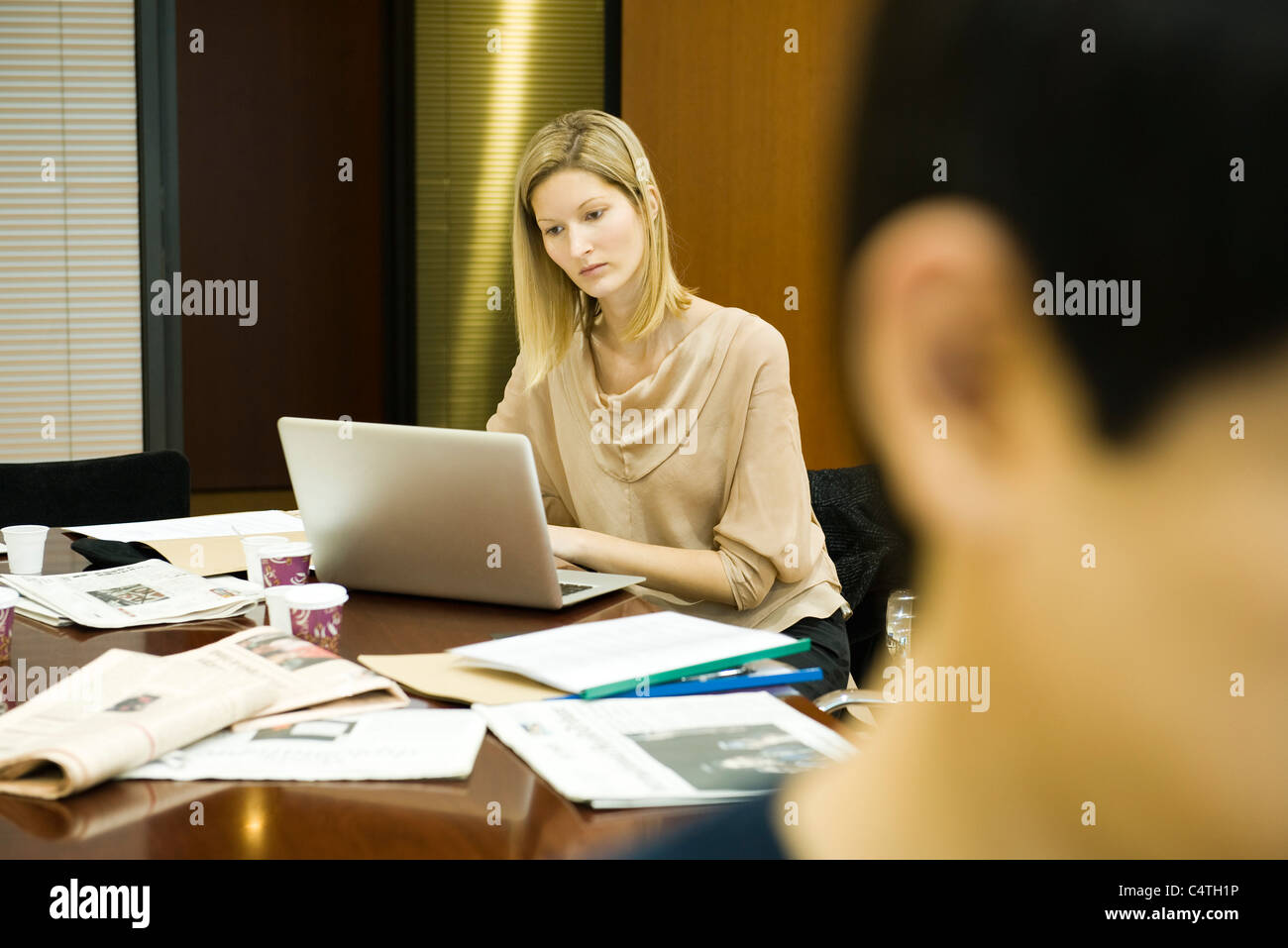 Female executive working on laptop computer Stock Photo - Alamy