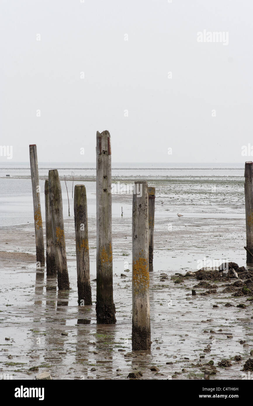 The Wadden Sea - Watenmeer Stock Photo