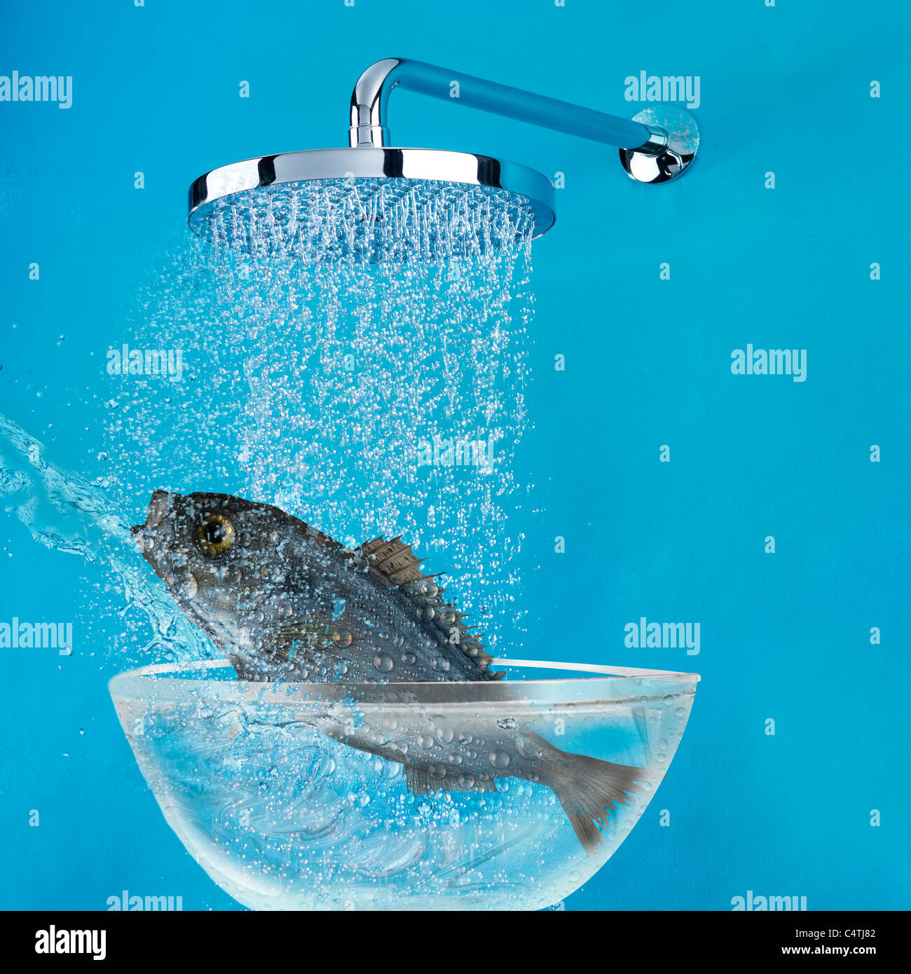 Digital showers hires stock photography and images Alamy