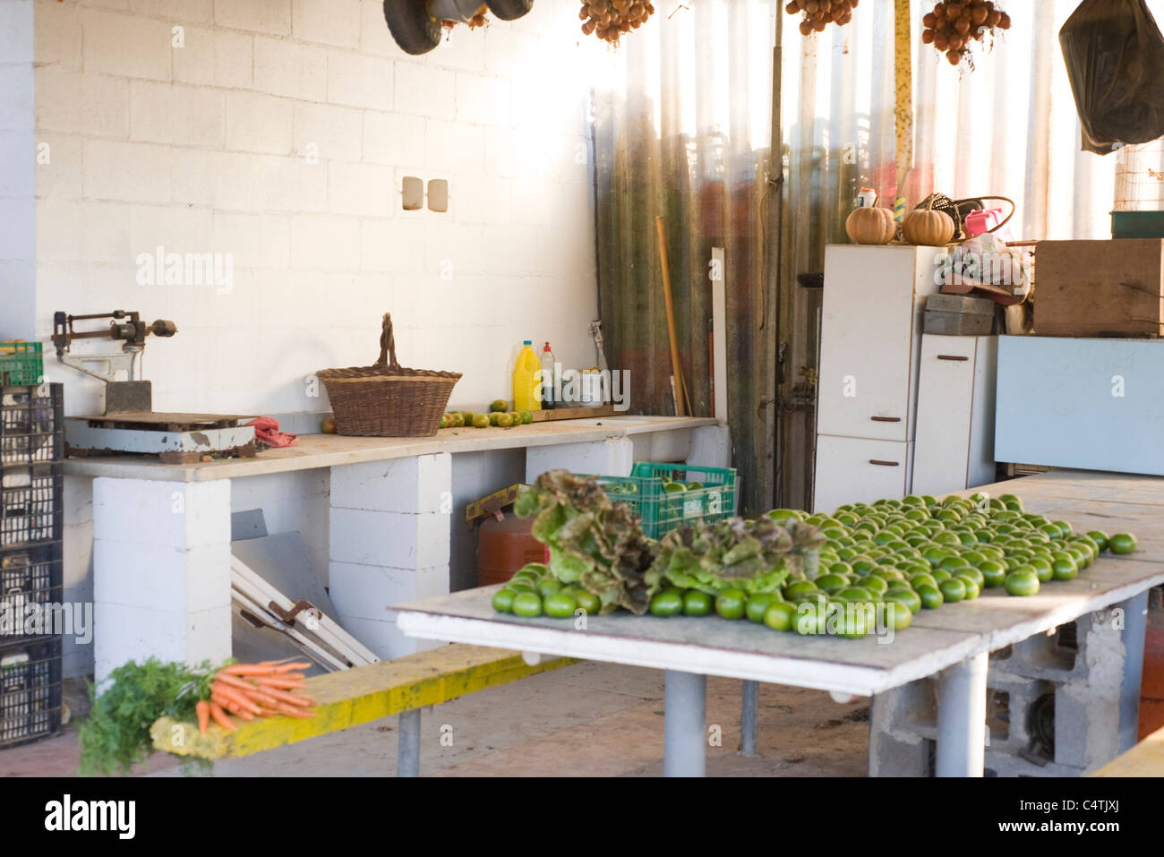 Fresh tomatillos on table Stock Photo