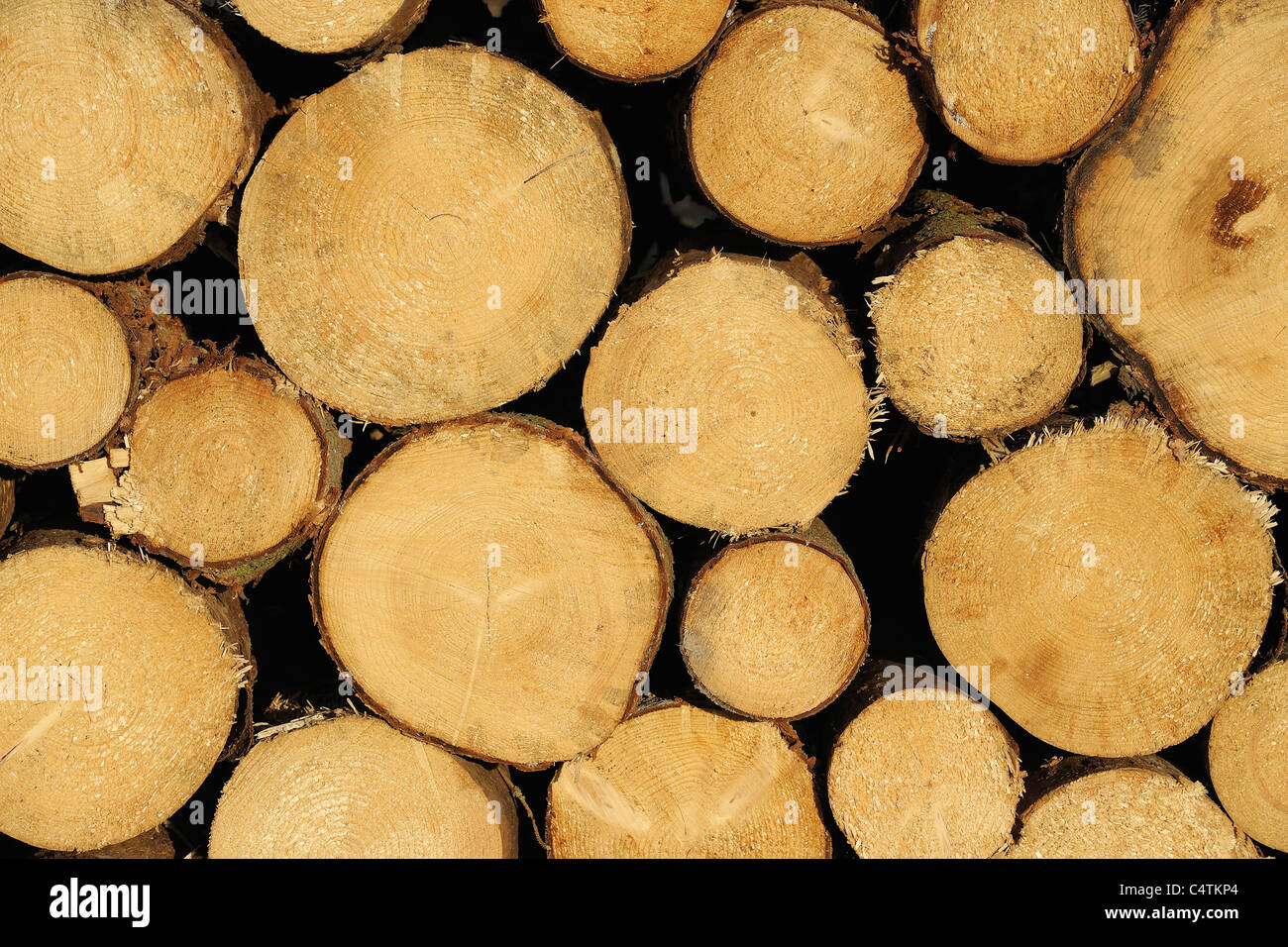 Tree rings hi-res stock photography and images - Alamy