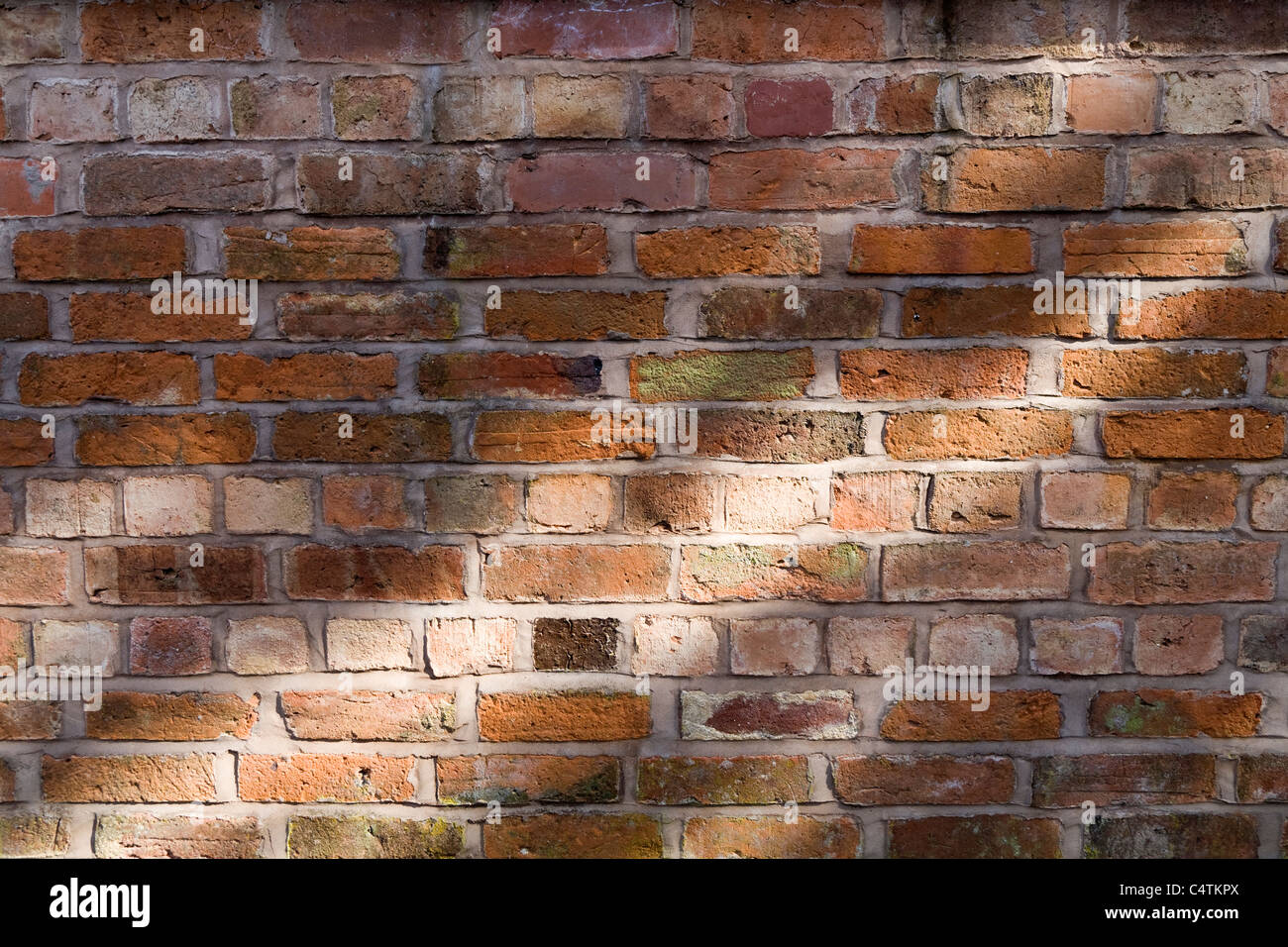 Detail of old red brick wall with dappled light Stock Photo