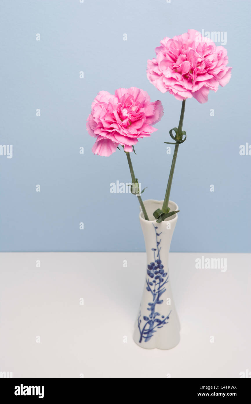 Carnations in Vase Stock Photo Alamy