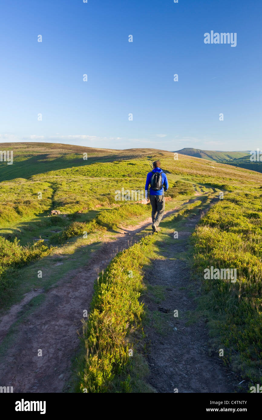Caucasian Male Walker (32 Years Old) on Hatterrall Ridge, part of the Offa's Dyke Path. Brecon Beacons. Powys. Wales. UK. Stock Photo