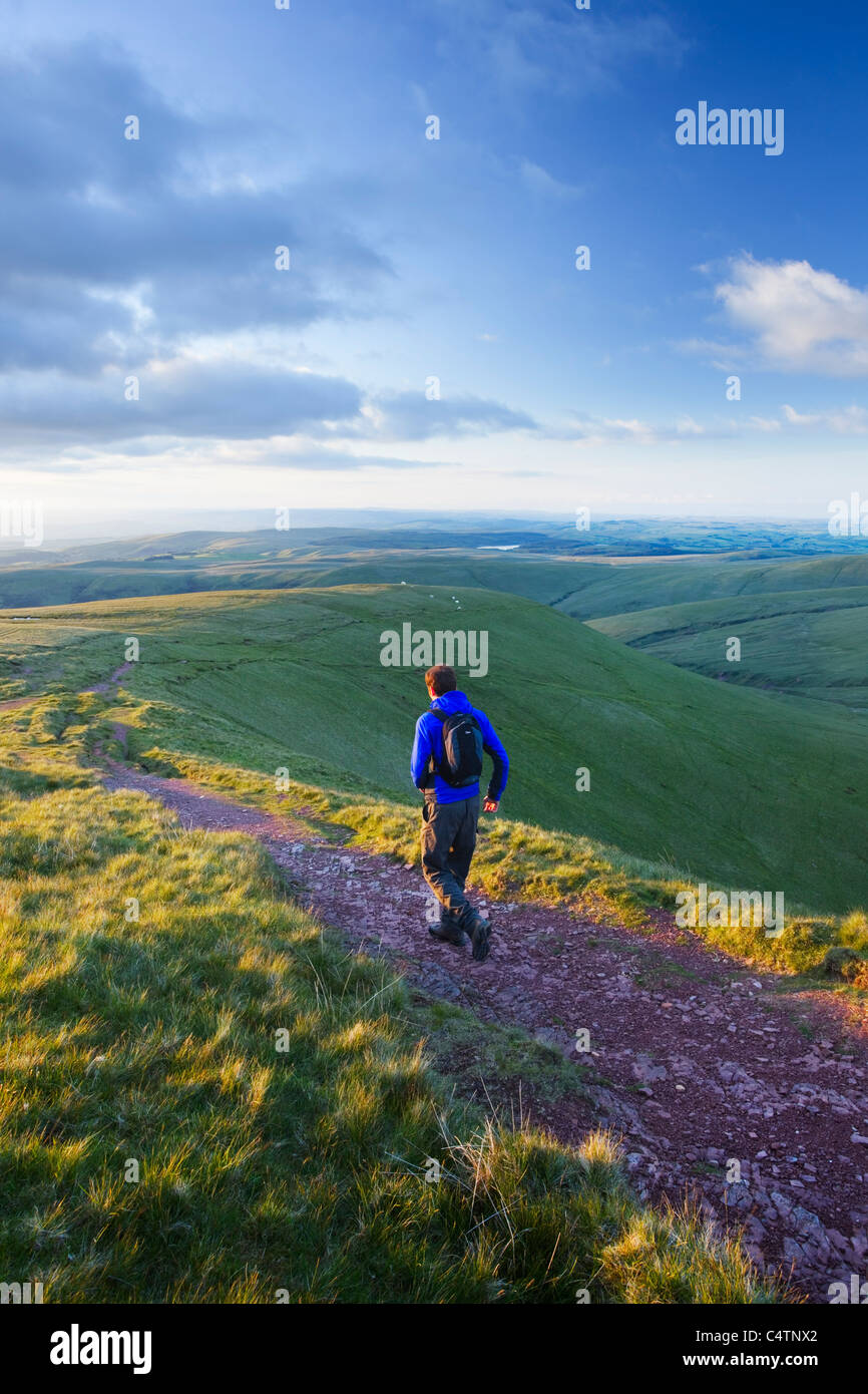 Caucasian Male Walker (32 Years Old) descending from Carmarthen Fan in The Black Mountains. Brecon Beacons.  Wales. UK. Stock Photo