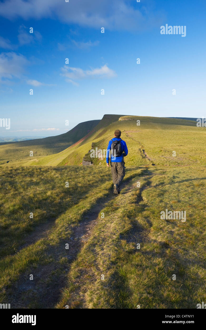 Caucasian Male Walker (32 Years Old) heading for Picws Du on Carmarthen Fan. Brecon Beacons National Park. Wales. UK Stock Photo