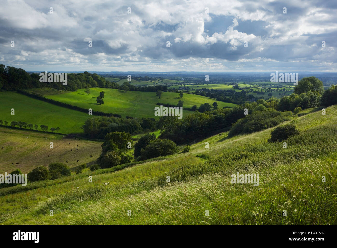 View from Creech Hill near Bruton. Somerset. England. UK. Stock Photo