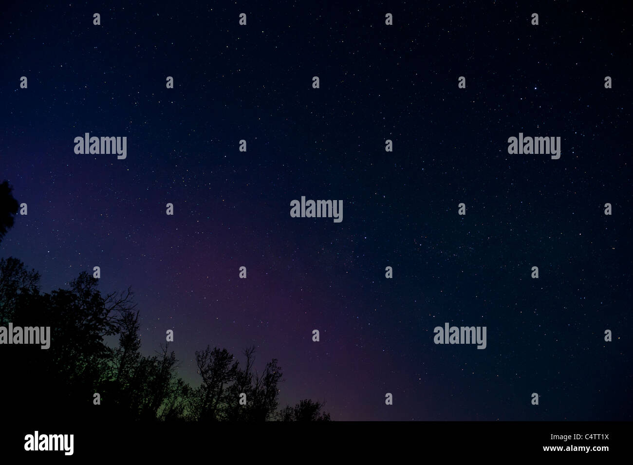 NIGHT SKY AND STARS Stock Photo