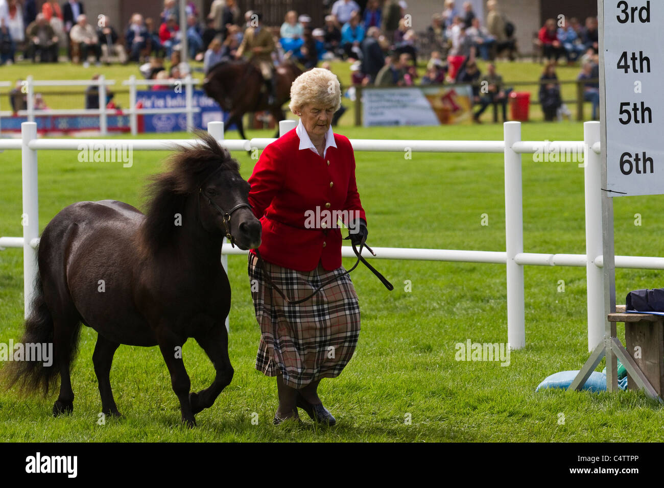Highland Pony with handler at the Royal Highland Show Ingliston