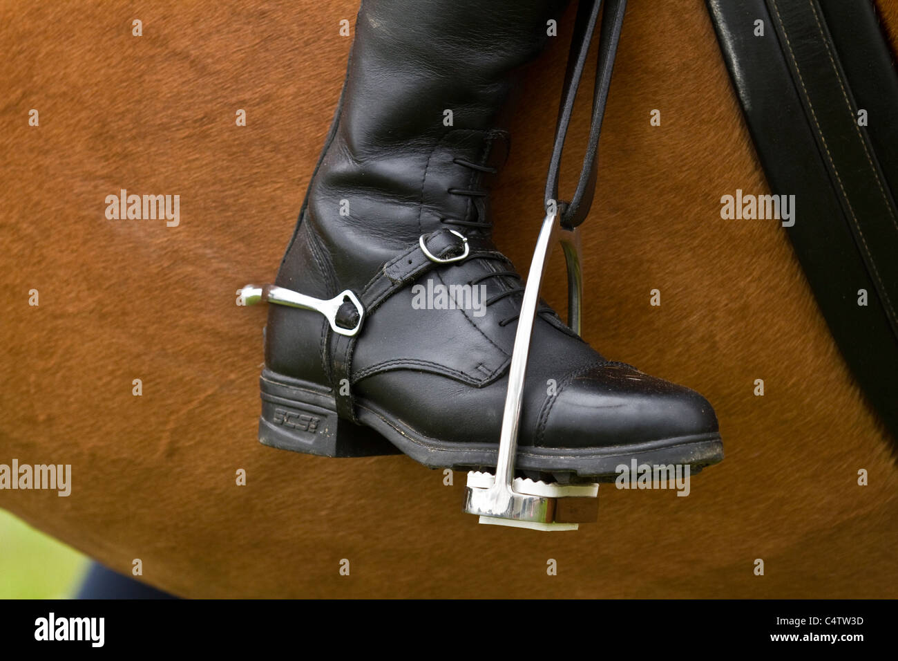 Stirrups hires stock photography and images Alamy