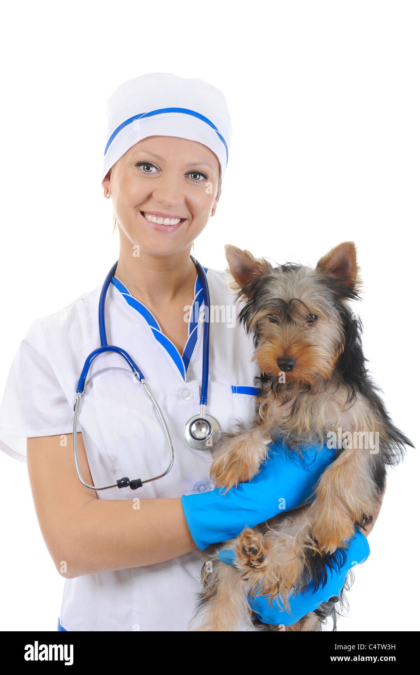 Veterinary with a dog for a review Stock Photo Alamy
