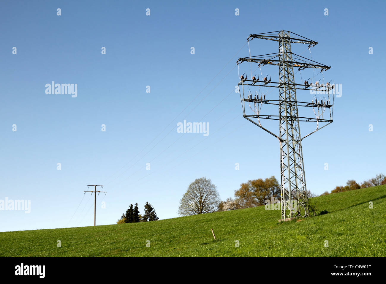 Overhead power lines and mast, Chiemgau Upper Bavaria Germany Stock