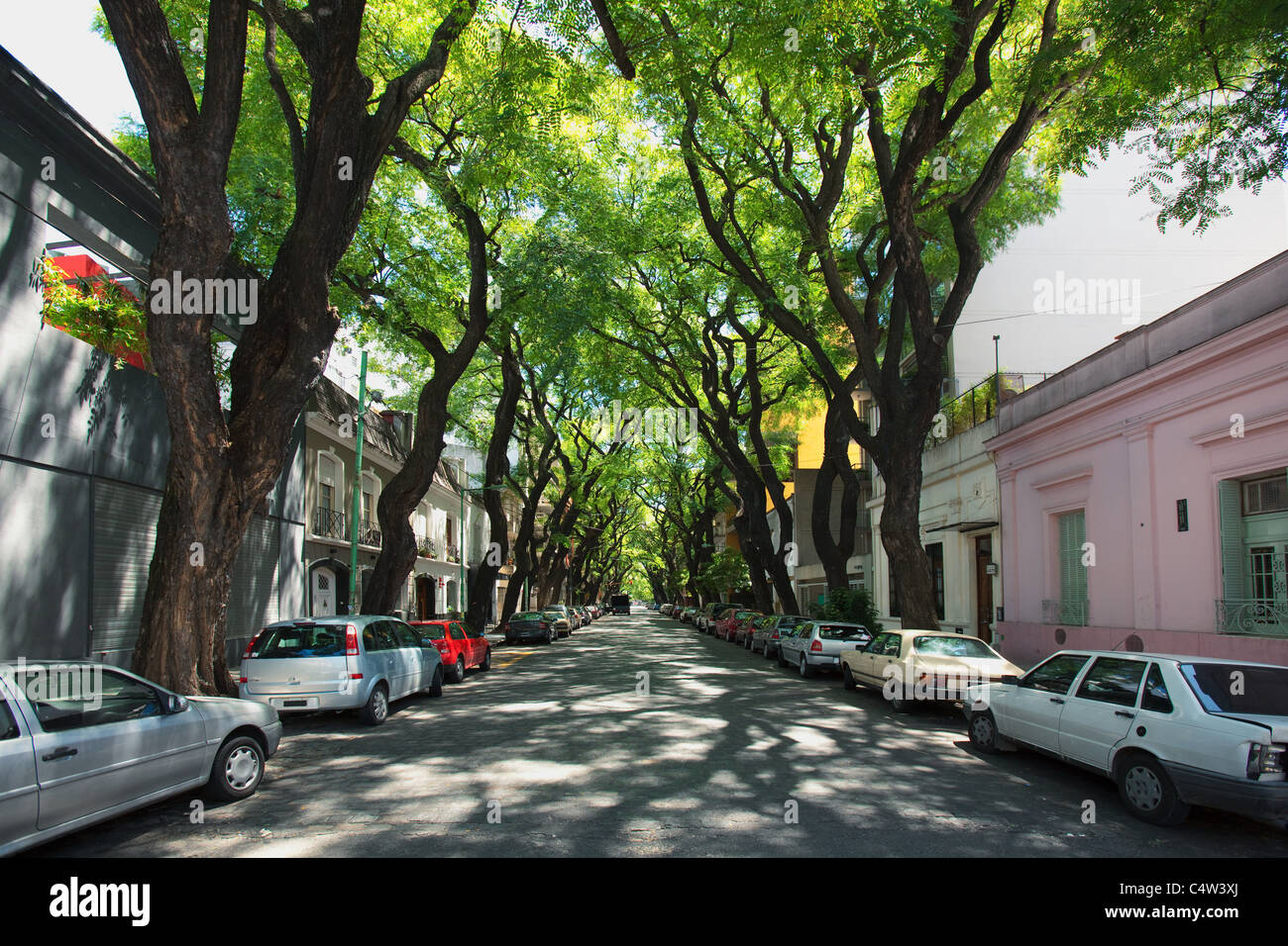 Street in Palermo Viejo, Buenos Aires, Argentina Stock Photo - Alamy, image size:1300x956