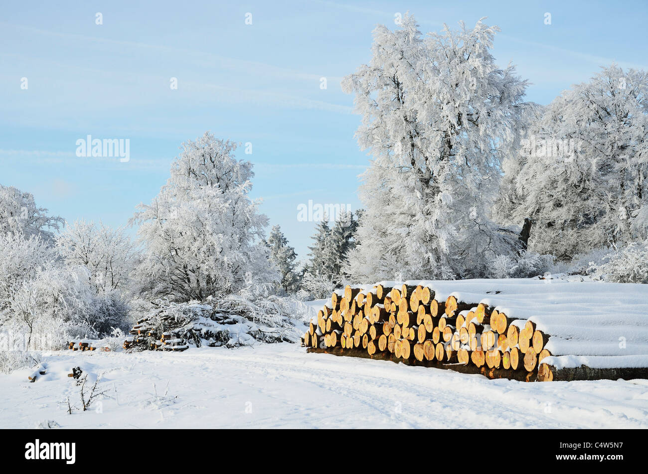 Winter Landscape, near Albstadt, Swabian Alb, Baden-Wuerttemberg, Germany Stock Photo