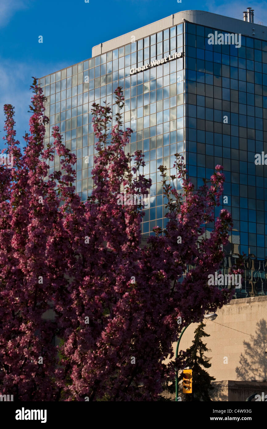 Great West life headquarters is seen in Winnipeg Stock Photo Alamy