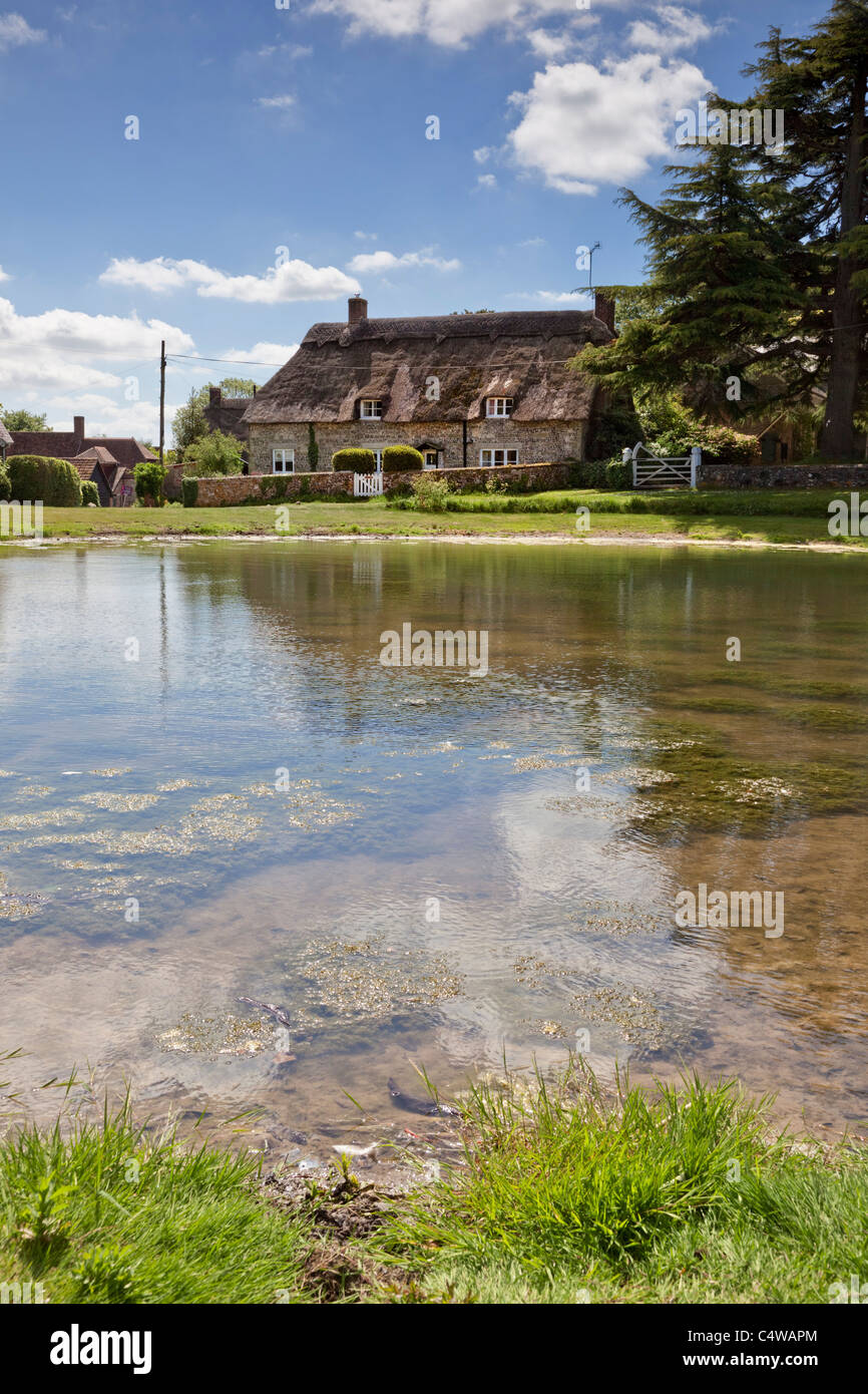 Ashmore pond and Thatched Cottage, Ashmore, Dorset, England, UK Stock