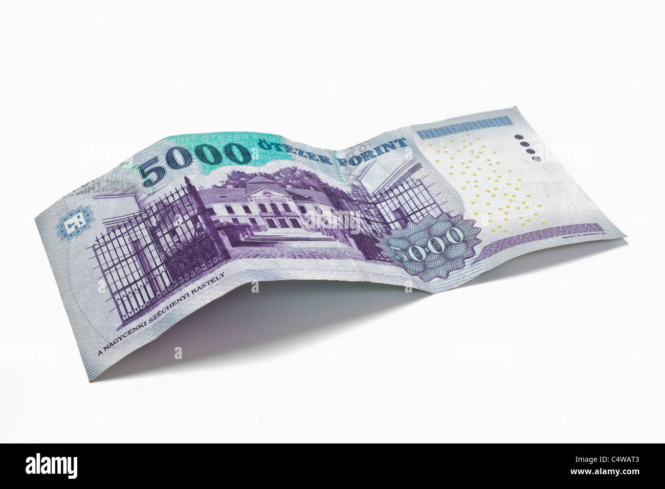 Detailansicht einer ungarischen 5000 Forint Banknote | Detail photo of a hungarian 5000 forint Banknote Stock Photo