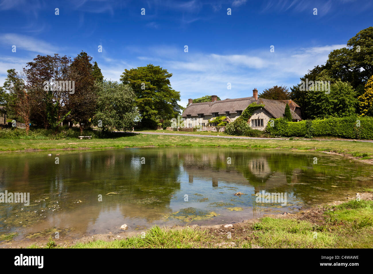 Ashmore duck pond and Thatched Cottage, Ashmore, Dorset, England, UK Stock Photo