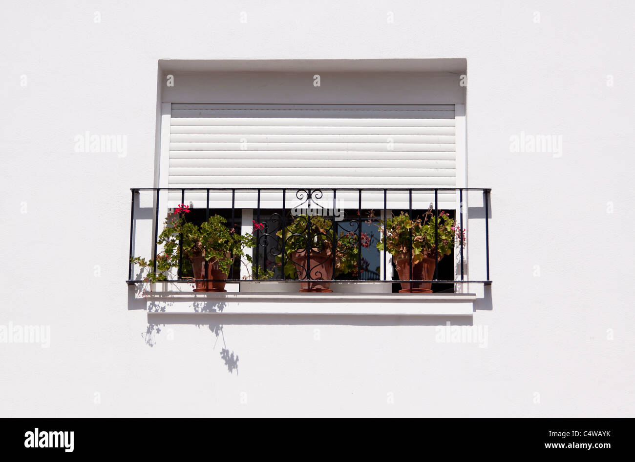 Window on a white washed wall with the shutters half down - three plant pots Stock Photo