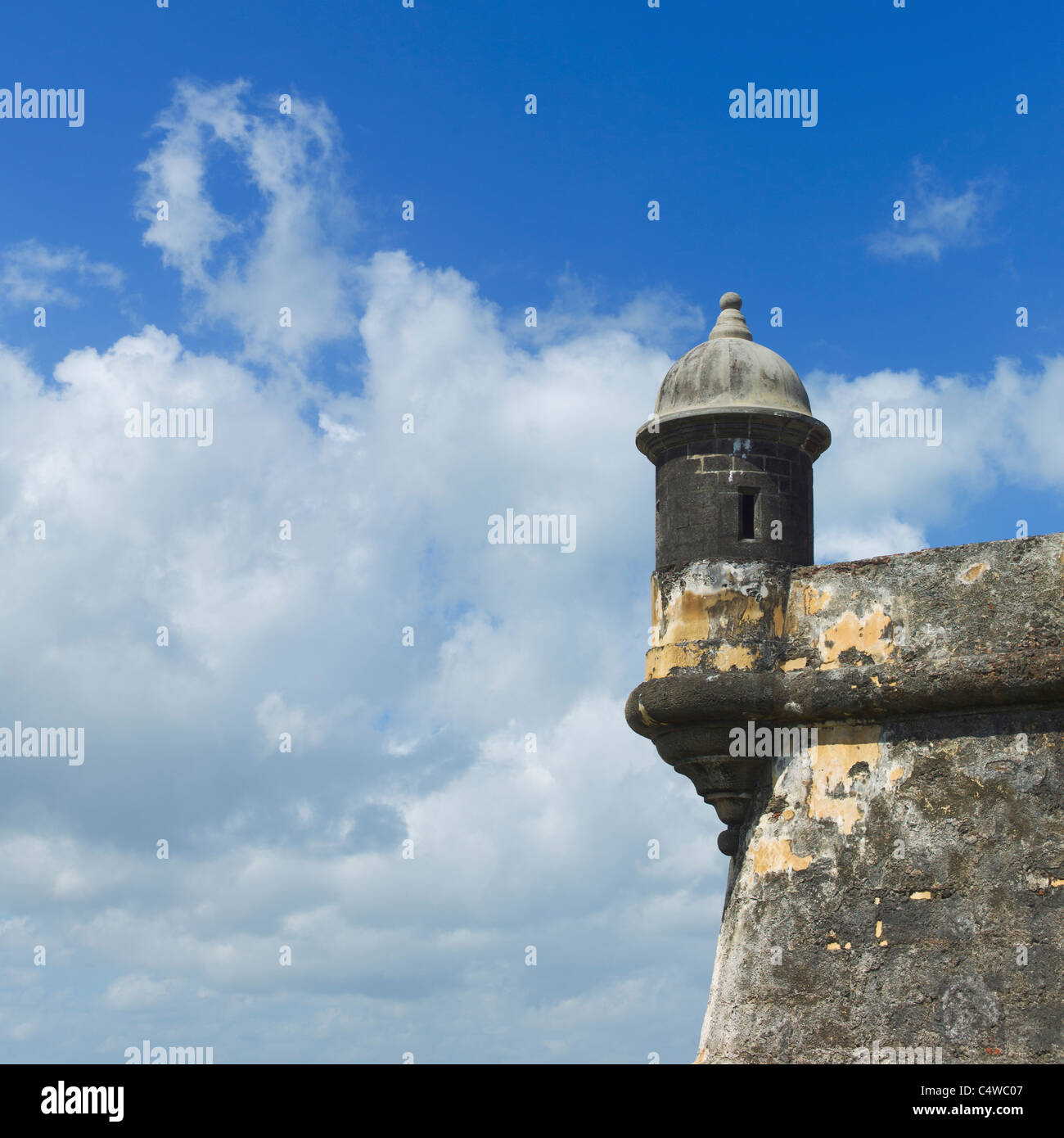 My Image 22