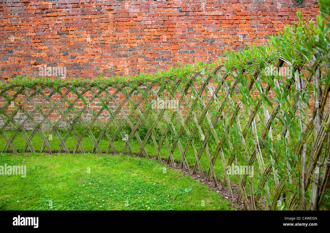 Living willow fence hi-res stock photography and images - Alamy