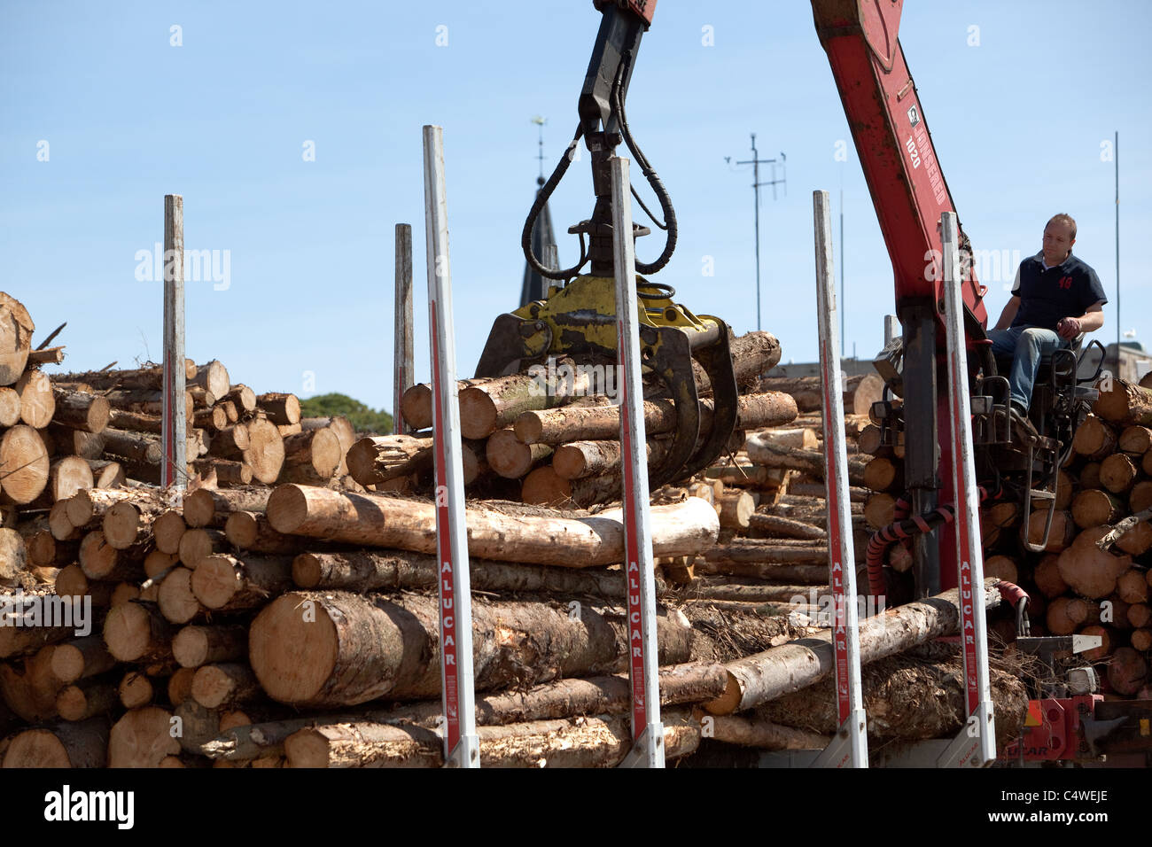 Logging industry Stacking timber cut from local forests, awaiting export on quayside, at Montrose Docks Scotland UK Stock Photo