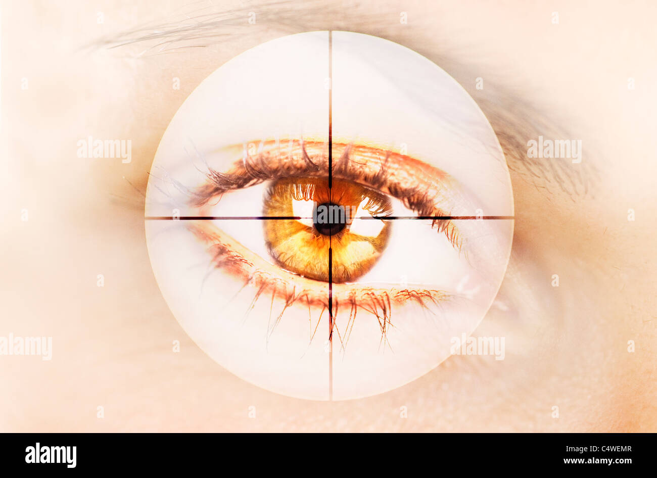 Close up of women's eye in digital viewfinder Stock Photo Alamy