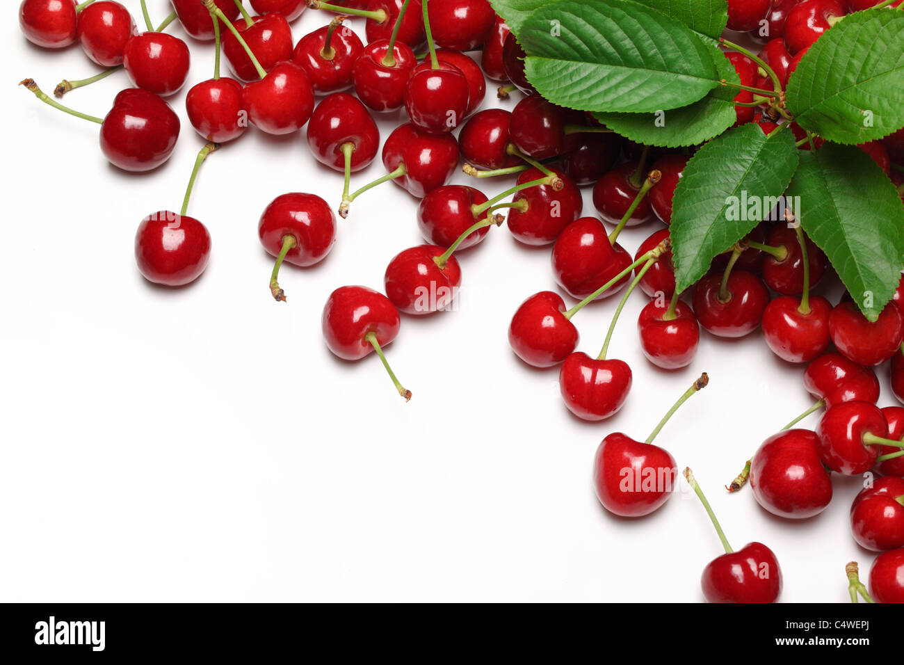 Juicy cherries isolated on white background. Stock Photo