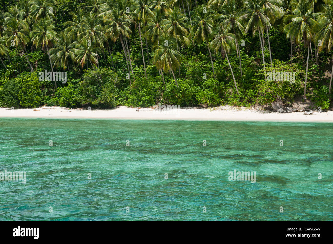 beautiful beach and water near Sipadan Island, Borneo, Malaysia Stock Photo