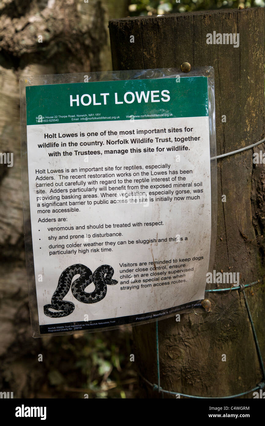 A sign detailing the wildlife habitats on the Holt Lowes and restoration of lost heathland in Norfolk, England, UK. Stock Photo