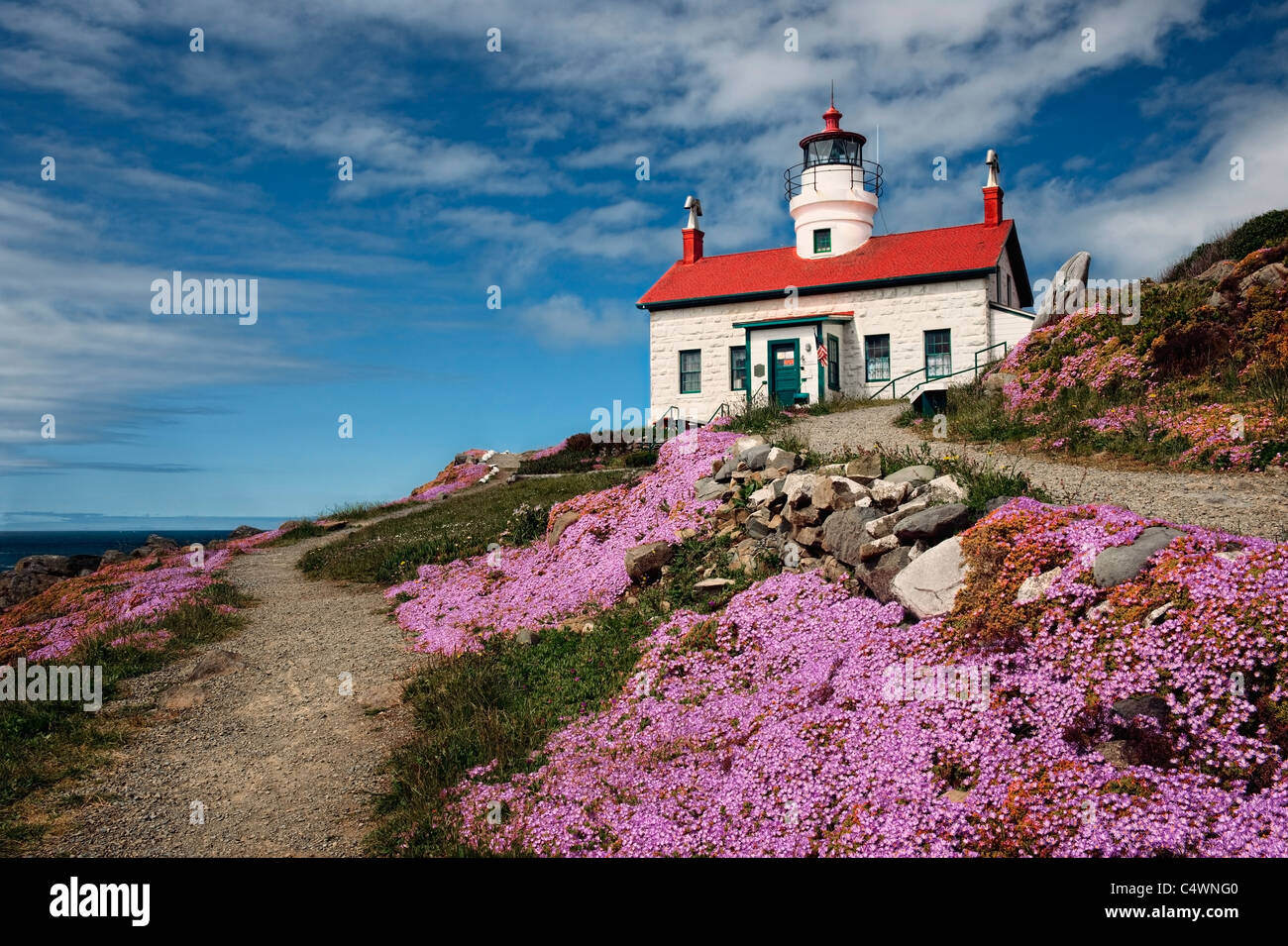 Ice plant blooms around Battery Point Lighthouse (1856) at Crescent City, California. Stock Photo
