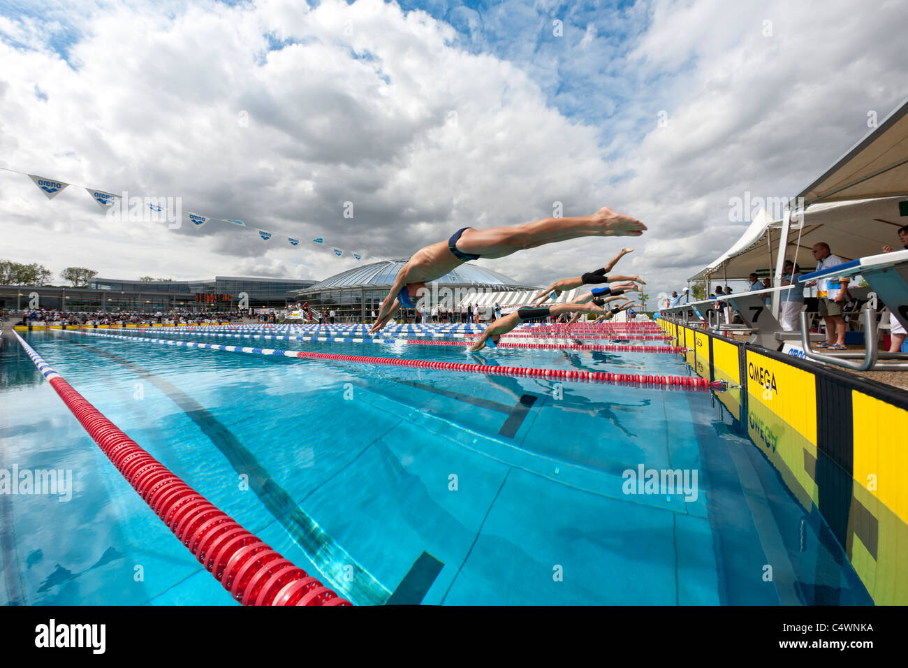 Swimmers making a dive start during their competitive sport (France). Départ plongé lors d'une compétition de natation (France). Stock Photo