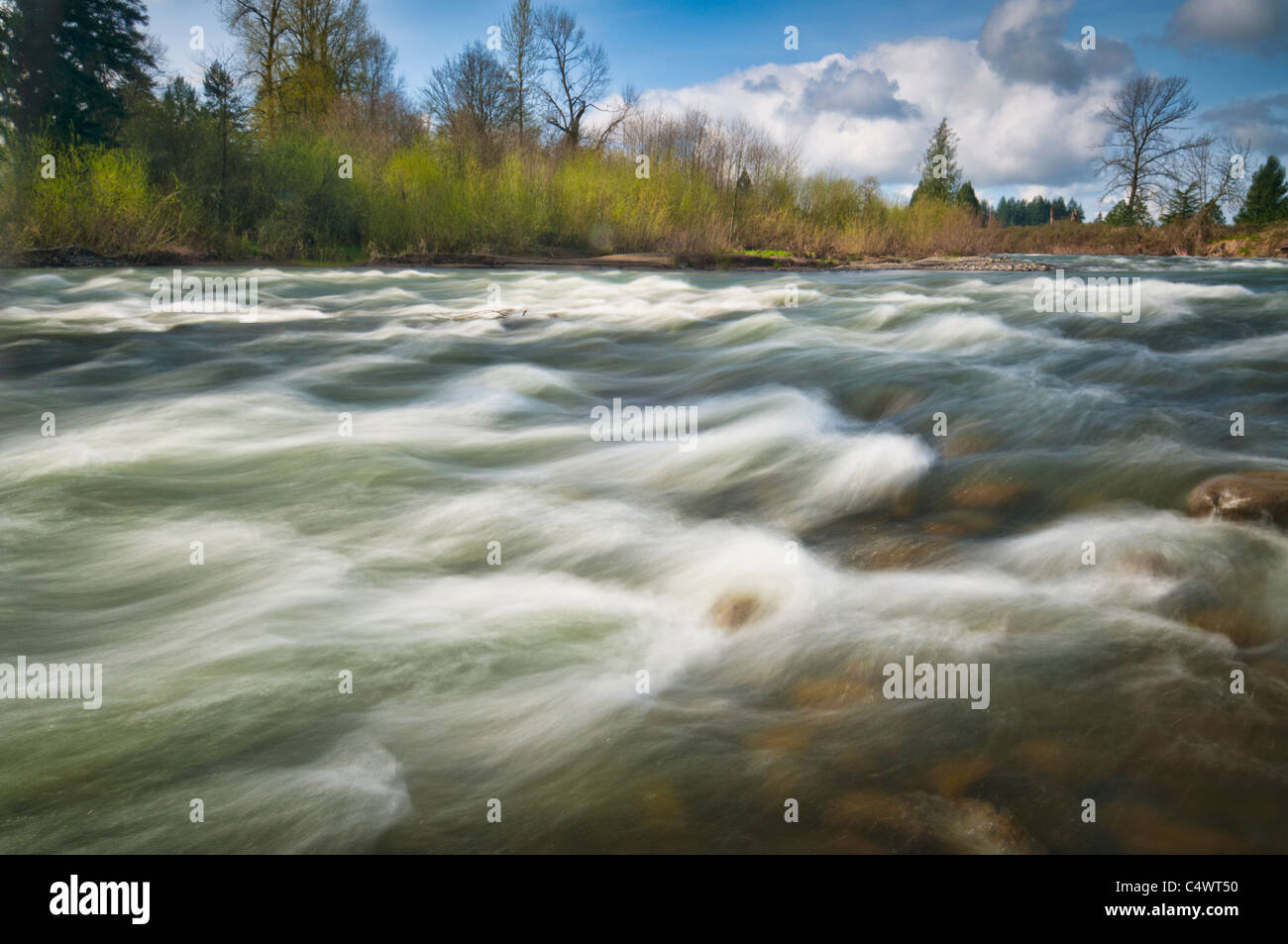USA, Oregon, Linn County, Crabtree Creek Stock Photo Alamy