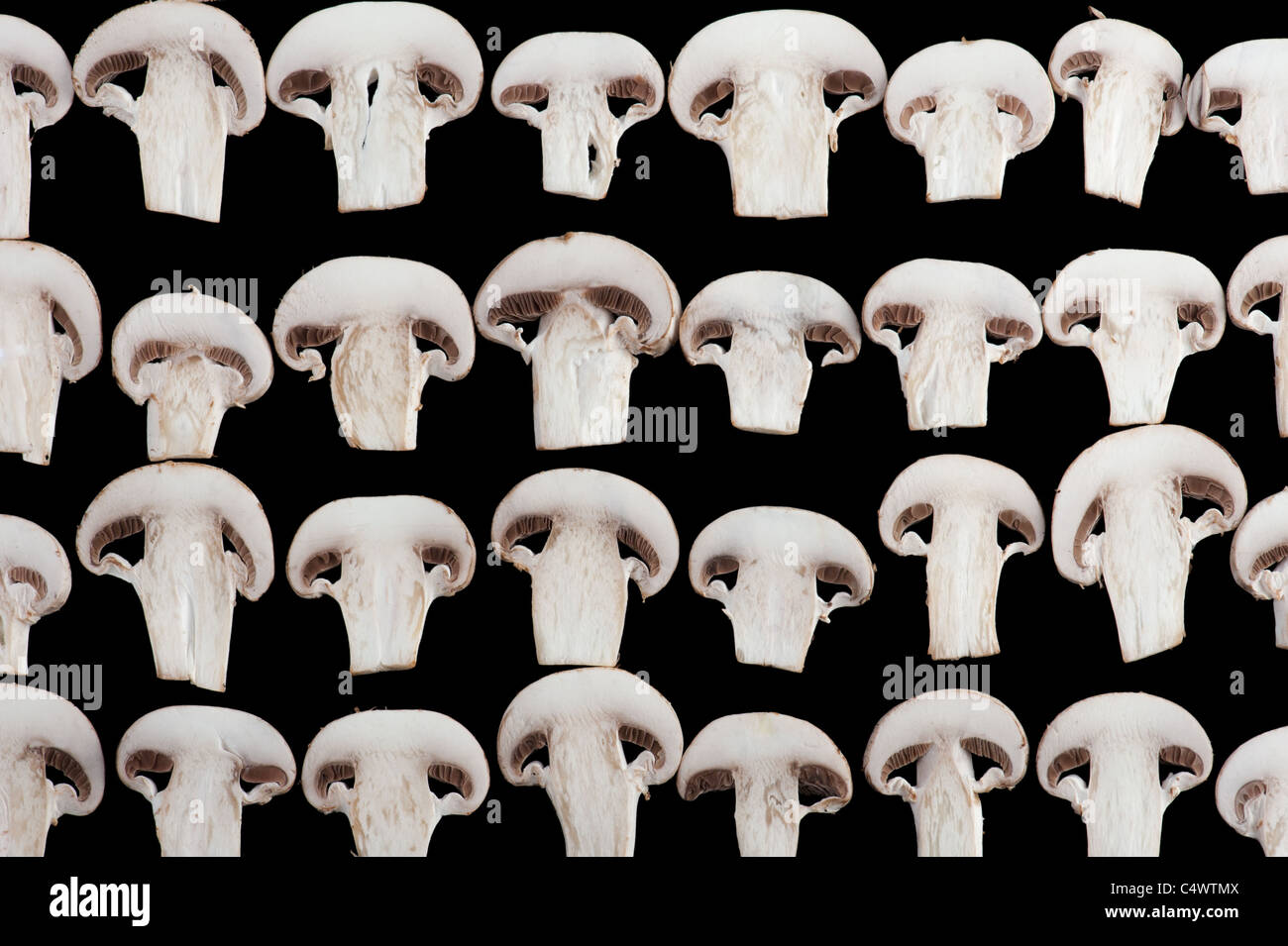 Macro detail background of sliced champignon mushrooms on black Stock Photo