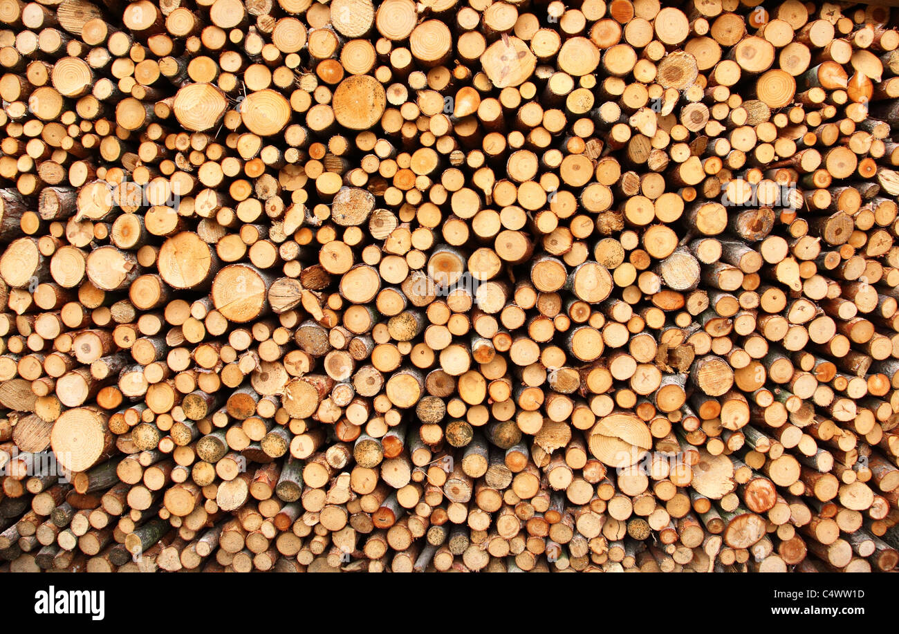 Pile of chopped fire wood prepared for winter Stock Photo